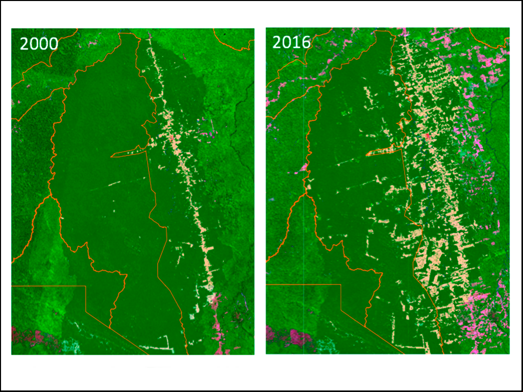 IPAM e MapBiomas