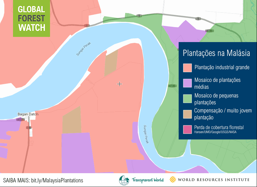 /sites/default/files/Forests_POR_malaysia_plantations.gif