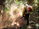 Brigada controla incêndio no DF