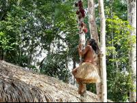 Criança indígena Yawanawá sobe em árvore durante a terceira edição do Festival Mariri, realizado na Aldeia Mutum da Terra Indígena do Rio Gregório, no Acre. (Foto: Sérgio Vale/Secom)