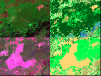 Nova coleção de mapas do MapBiomas mostra imagens de satélite sobre a cobertura vegetal e o uso do solo no Brasil. Na imagem, o Pantanal (Fonte: MapBiomas)