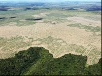 Paisagem florestal desmatada no Maranhão (Foto: Felipe Werneck/Ascom Ibama)