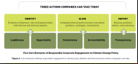 Infographic showing three actions companies can take today: Identify, Align, Report.