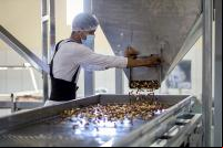 imagem de fábrica de processamento de castanha com homem trabalhando
