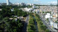Imagem área mostra área de Salvador com muitas árvores e zona urbana ao fundo