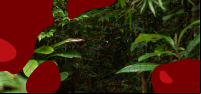 Banner Aceleradora