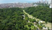 foto aérea de Salvador, com parque urbano, edificações precárias e prédios