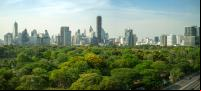 imagem mostra área de floresta com cidade ao fundo