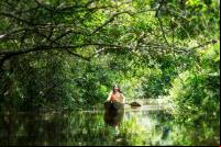 indígena navengando em barco em meio à floresta amazônica