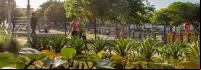 imagem mostra pessoas aproveitando parque revitalizado em barranquilla