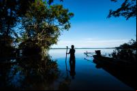 nova economia da amazônia