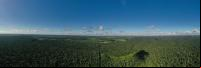 Vista aérea de floresta na região de Vitória-ES