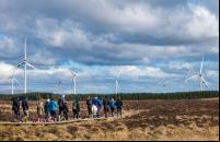 pessoas caminham próximas a usinas de energia eólica
