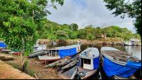 Amazônia