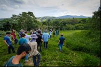 Foto da Aceleradora de Negócios Florestais em Socorro (SP). Pessoas caminham por uma agem verde. Á frente delas, árvores. Ao fundo, e distante, um morro extenso. 
