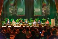 Evento de restauração florestal em São Paulo