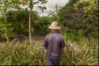 Homem em floresta na Caatinga