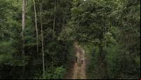 Pessoas andando na mata