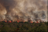 parque nacional de brasília em chamas