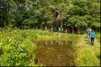 assentamentos rurais no bioma Amazônico. Cidade: Santa Bárbara do Pará.