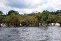 Foto de Manaus