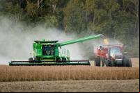 Produção de soja pode aumentar no Brasil se China aplicar tarifas ao produto americano