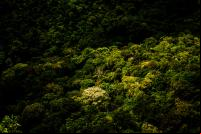 Chapada dos Guimarães, Mato Grosso, Brasil (foto: Flickr/paulisson_miura)