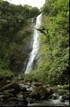 Mata Atlântica. Cachoeira na reserva Salto Morato (Foto: Haroldo Palo Jr.)
