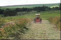 Fazenda da Toca (Foto: Divulgação)