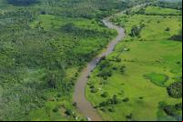 Aerial view of the Amazon rainforest. Photo credit: Neil Palmer, CIAT