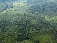 A Amazônia vista de cima, no Pará (Foto: Nick Elmoor)