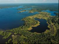 Floresta na Amazônia