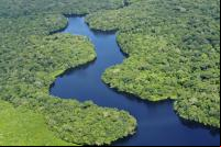 Florestas distantes também têm profundos sobre a vida nas cidades (Foto: CIAT/Flickr)