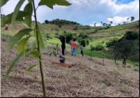equipe trabalhando na área de plantio na zona da mata