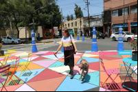imagem mostra mulher com seu cachorro em área de baixa velocidade