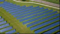foto mostra vários painéis solares