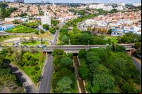 imagem de cidade e floresta