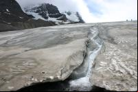 Gelo coberto por camada escura no pé do Glaciar Athabasca, no Canadá (foto: Wing-Chi Poon/Wikimedia Commons)