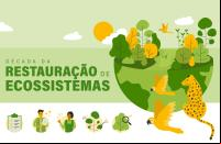 Ilustração sobre a Década da Restauração