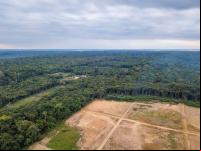 Imagem aérea de desmatamento na Amazônia 