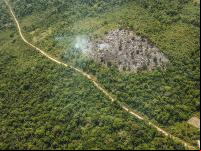 Desmatamento na Amazônia aumentou as emissões de CO2