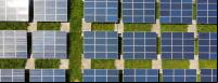 painéis solares reunidos em uma espécie de fazenda de geração de energia solar