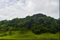Floresta e pasto degradado Espírito Santo