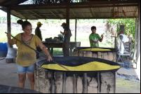 Incluir a abordagem de gênero pode aumentar significativamente a eficiência de um projeto de restauração (Foto: Mariana Oliveira/WRI Brasil)