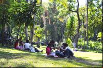 pessoas reunidas no gramado de um parque
