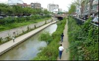 imagem do córrego CheongGyeCheon em Seul, com muita vegetação nas margens