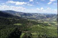 Mata Atlântica Restauração