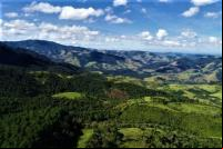 mata atlântica vale do paraiba