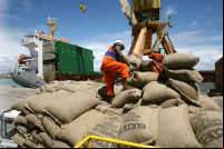 trabalhadores movem sacos de cacau no porto de ilhéus na bahia