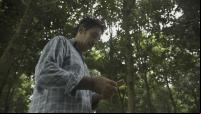 Homem na floresta olha para celular